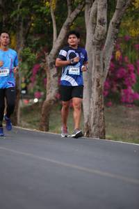 BIB: 6895, 688
                            <button type="button" onclick="openModal(3498357)" class="btn btn-primary btn-sm float-right btn-popup" data-toggle="modal" data-target=".modal-high-quality">
                        <i class="fas fa-shopping-cart"></i> Add to Cart
                    </button>
                                            <button type="button" onclick="isThisMe(3498357, true)" class="btn btn-success btn-sm float-right btn-popup btn-isme hidden" data-toggle="tooltip" data-placement="bottom" title="นี่คือรูปของคุณใช่ไหม คลิกที่นี่เพื่อเอาเข้าอัลบั้ม">
                        <i class="fas fa-plus"></i> Add to album
                    </button>
                    <button type="button" onclick="isThisMe(3498357, false)" class="btn btn-warning btn-sm float-right btn-popup btn-isnotme hidden">
                        <i class="fas fa-ban"></i> Remove from album
                    </button>